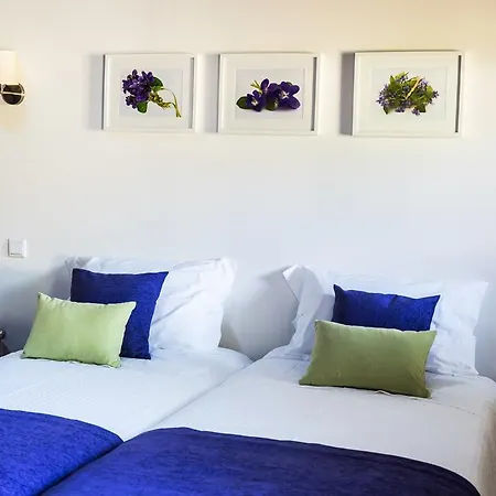 Farm stay Casa Soares *